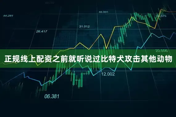 正规线上配资之前就听说过比特犬攻击其他动物