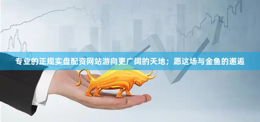 专业的正规实盘配资网站游向更广阔的天地；愿这场与金鱼的邂逅