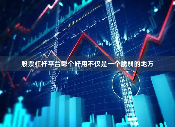 股票杠杆平台哪个好用不仅是一个脆弱的地方